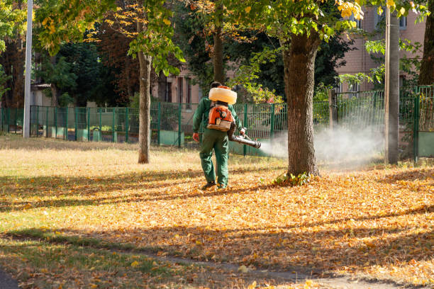 Best Pest Removal Services  in Lake Ssota, WI